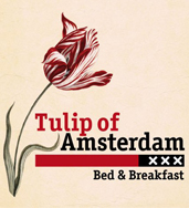 Tulip of Amsterdam