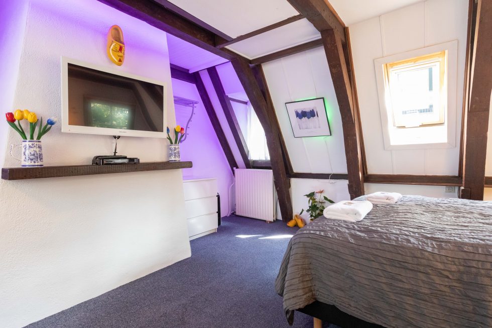 Tulip of Amsterdam | Your home away from home